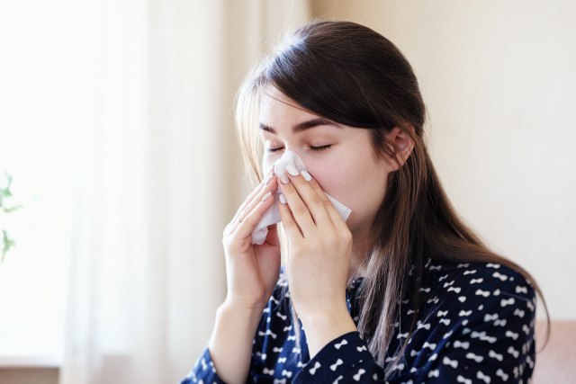 Polen ambrozije ima preko 50 jedinjenja koja deluju kao alergeni